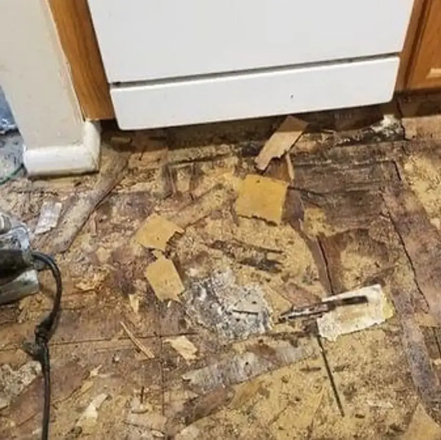Flooring torn up in front of a dishwasher after a slow appliance leak in a Laguna Niguel kitchen