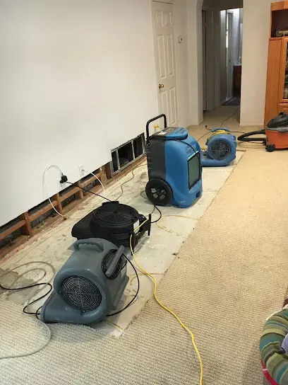 Air movers and a dehumidifier drying carpet beside a flood-cut wall, structural drying in Laguna Niguel